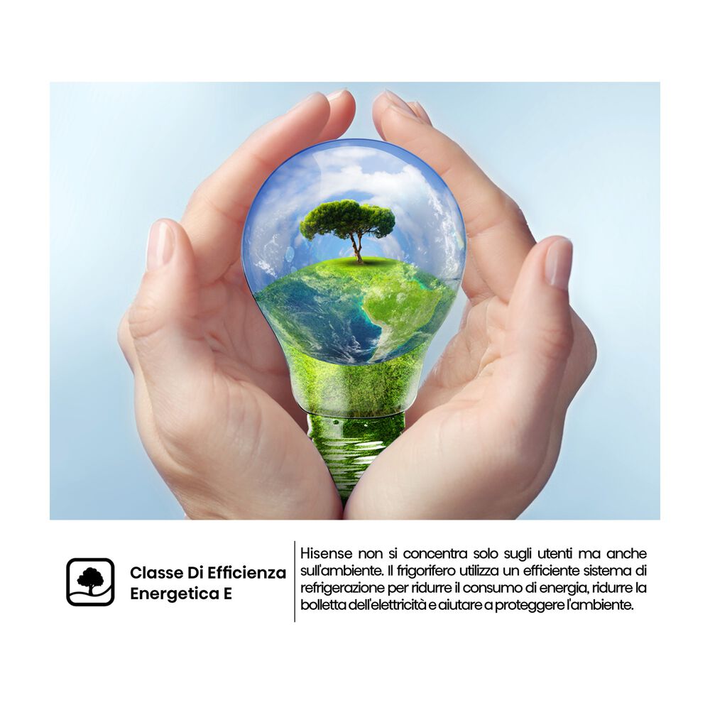 RR220D4BDE, image number 2