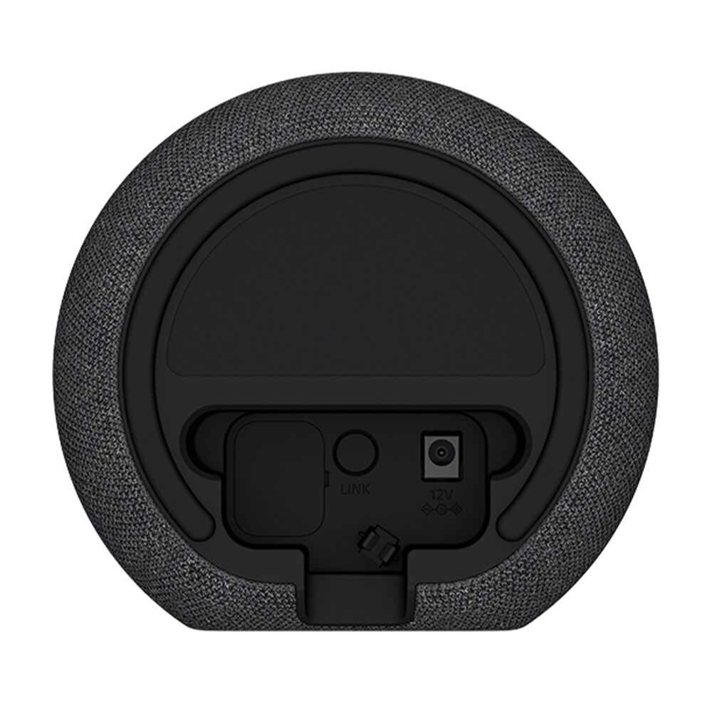 SARS5, image number 8