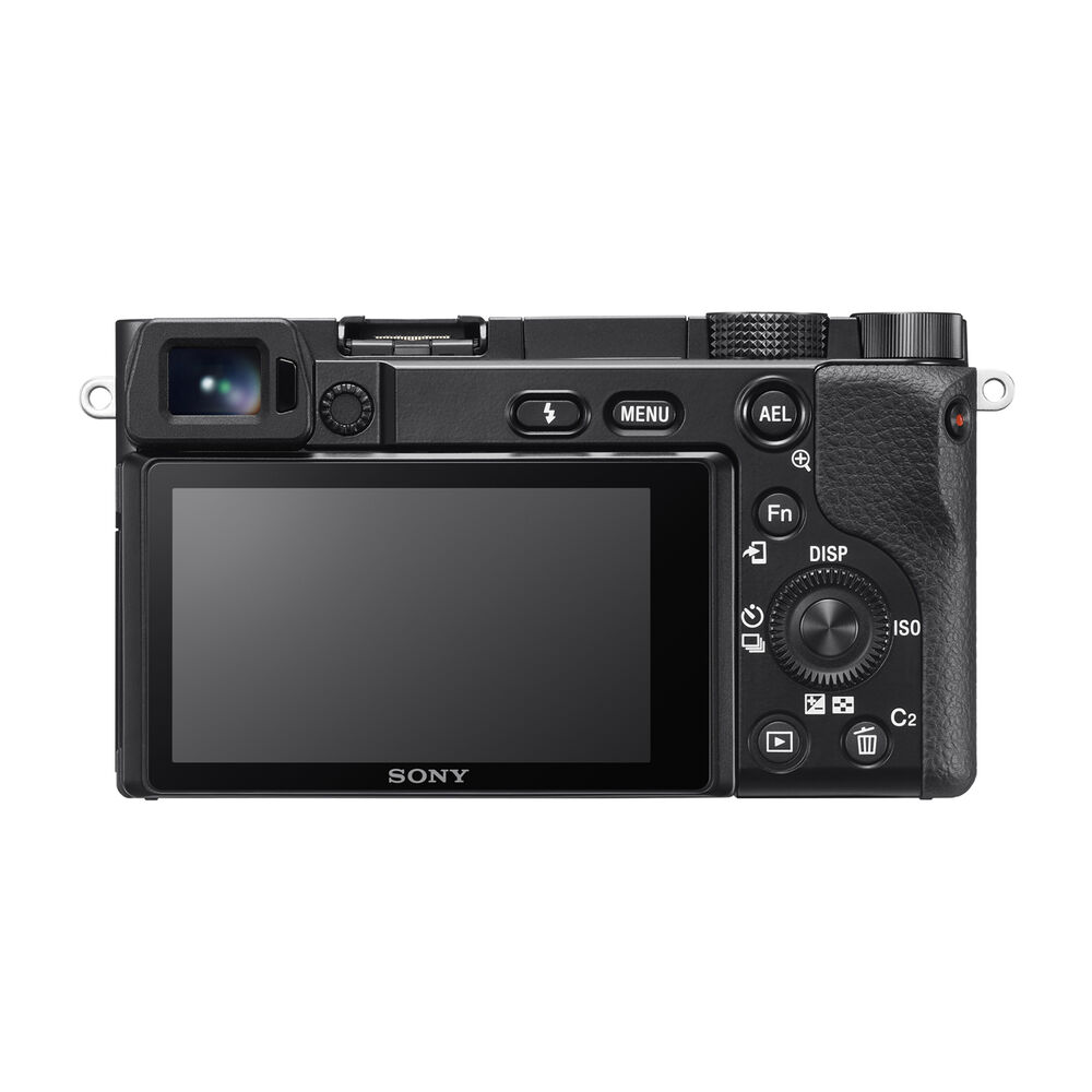 ALPHA 6100 +16-50mm, image number 15
