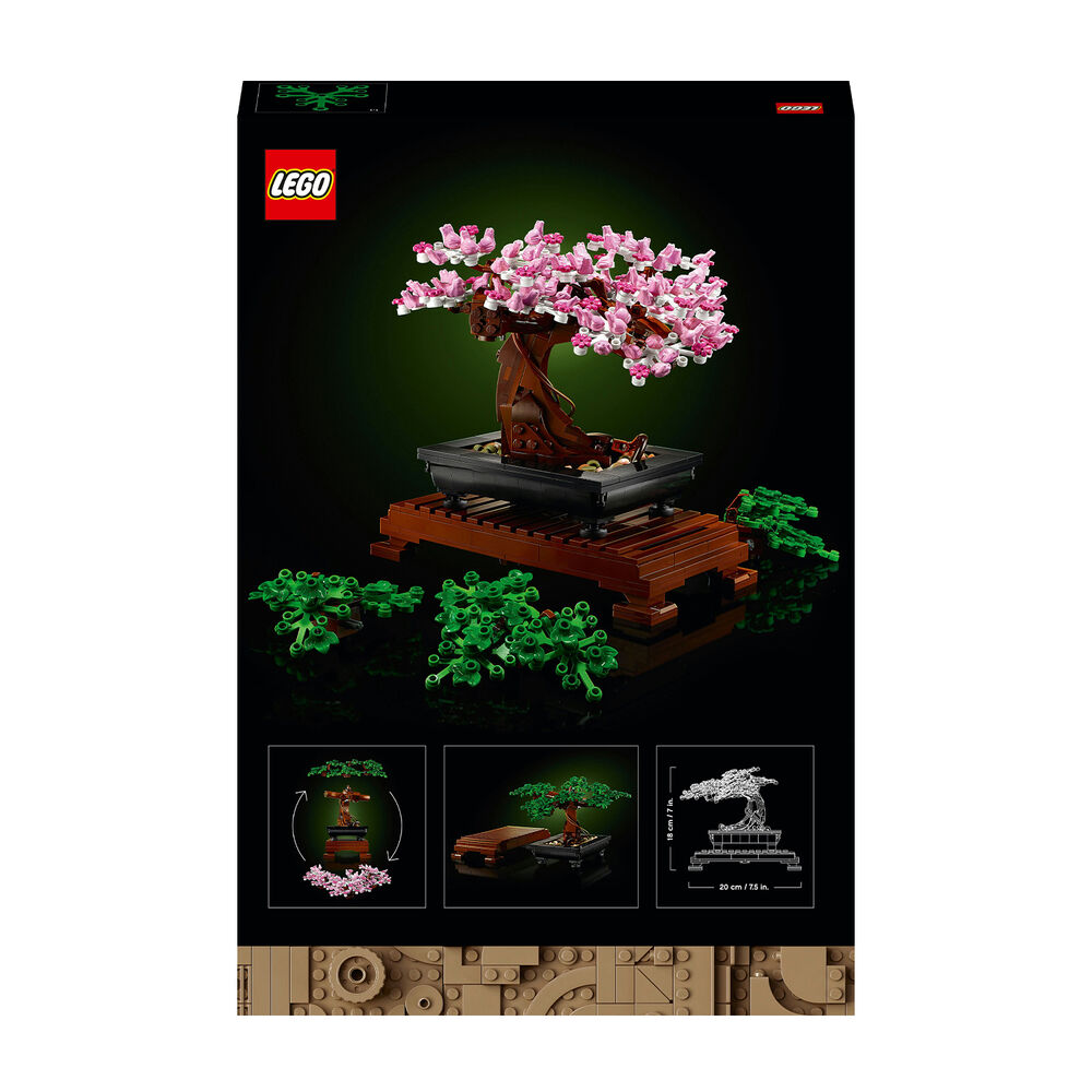 Albero Bonsai, image number 6