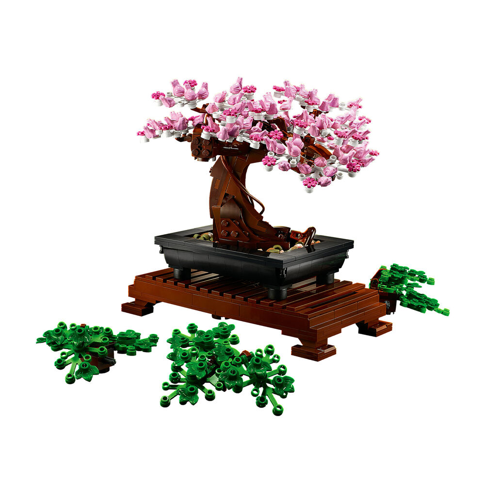 Albero Bonsai, image number 2
