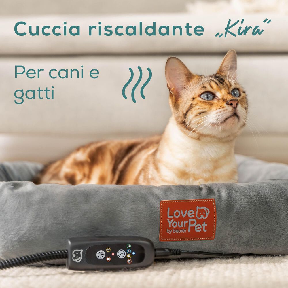 PP 250 KIRA, image number 6