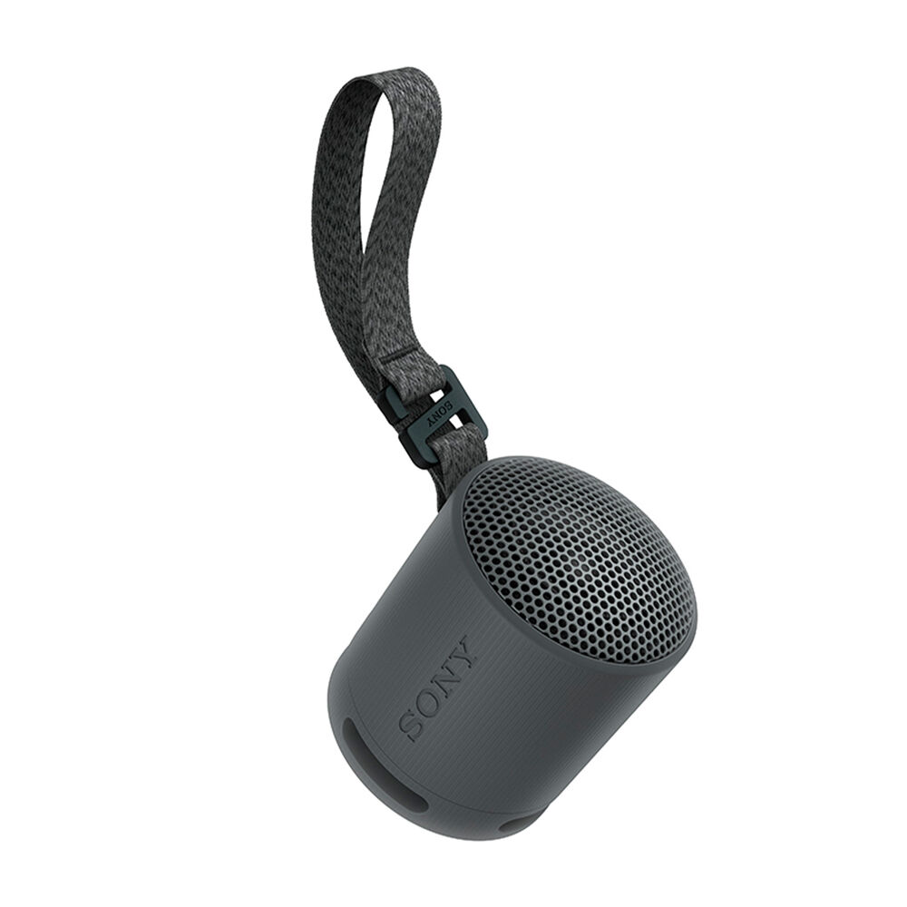 SRSXB100B, image number 1