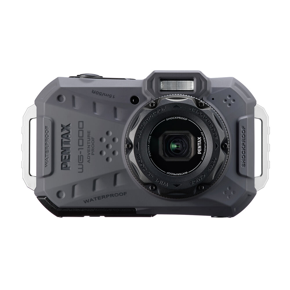 WG1000, image number 3