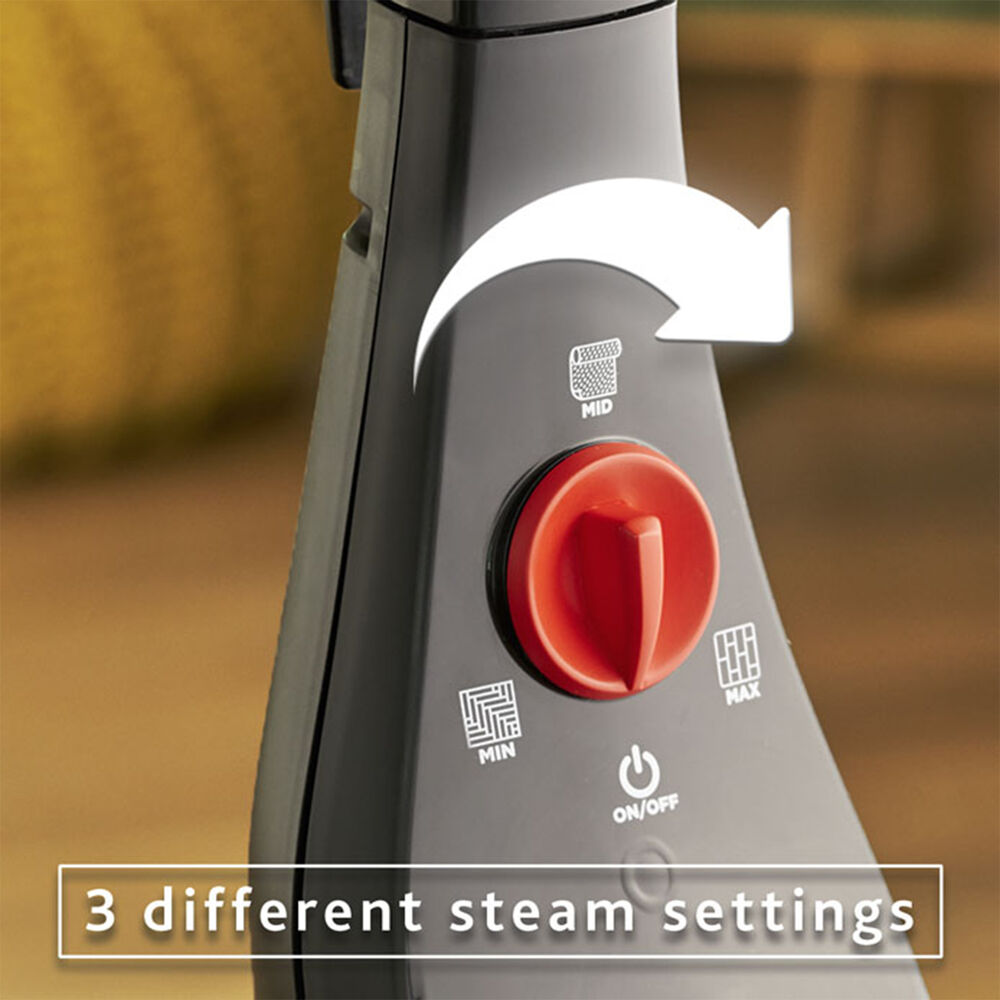 STEAM PLUS, image number 2