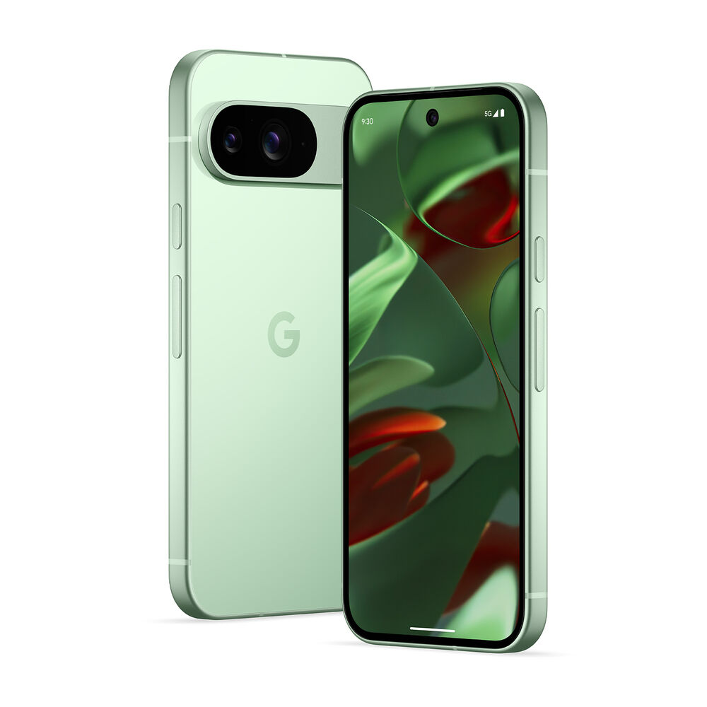 Pixel 9 256GB, image number 6