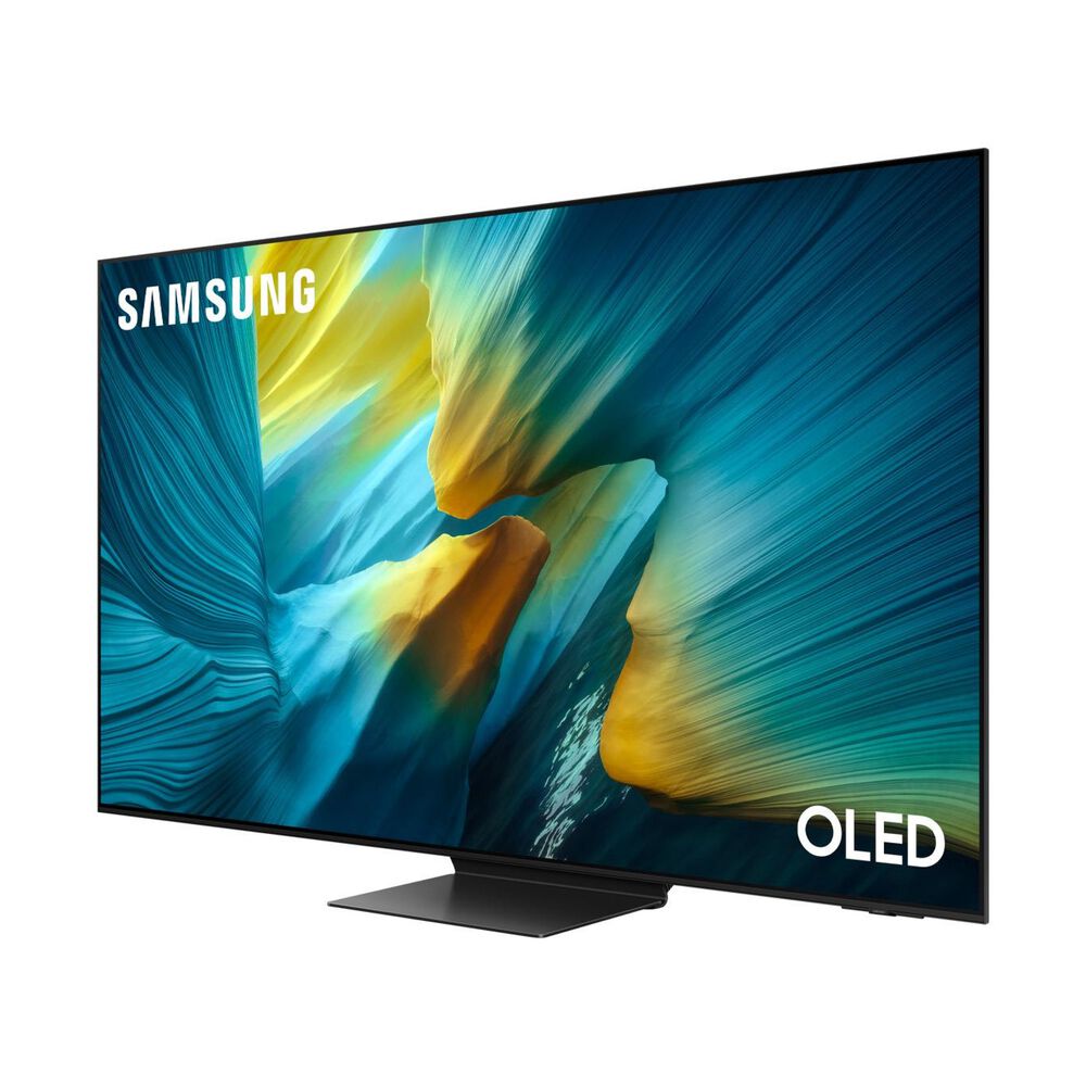 QE55S95FATXZT, image number 12