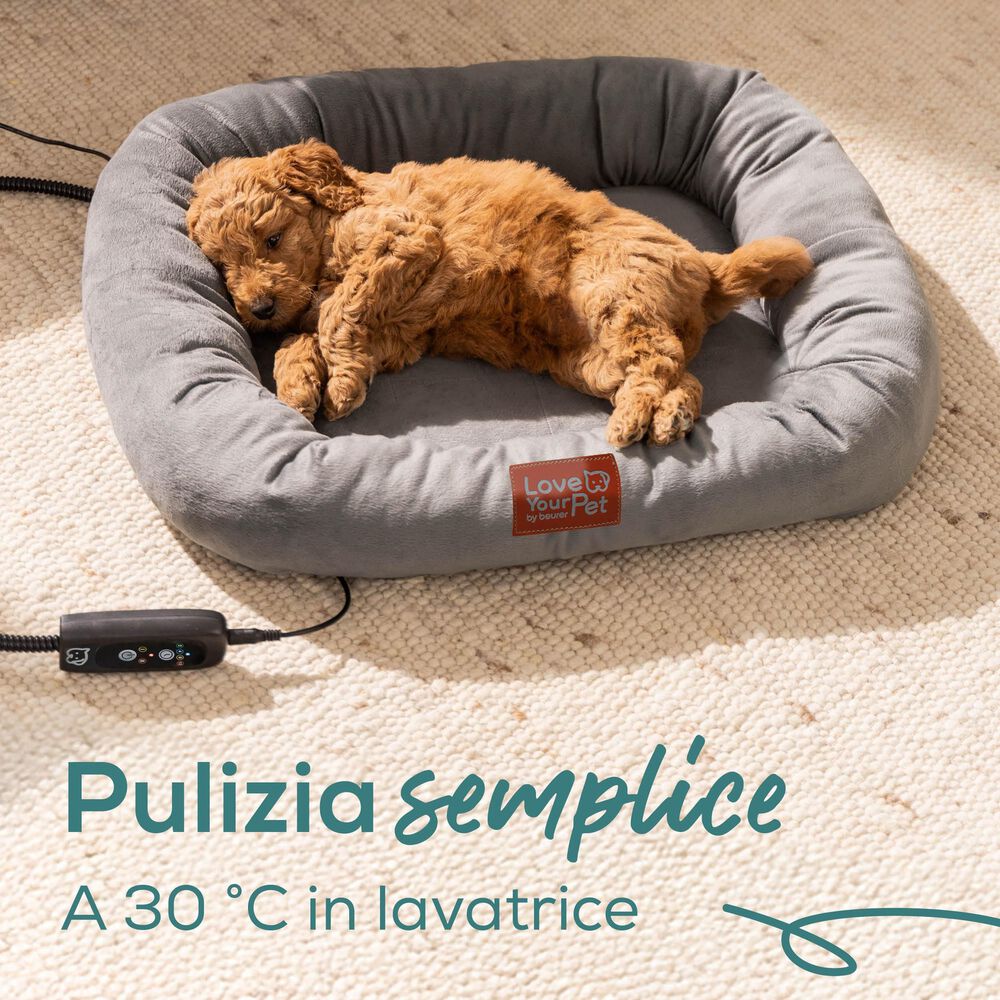 PP 250 KIRA, image number 7