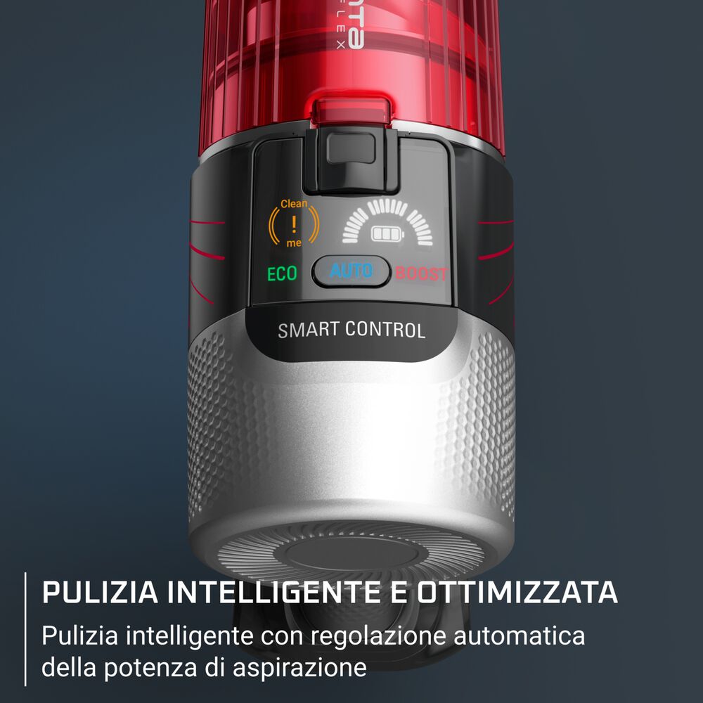 RH2087, image number 8