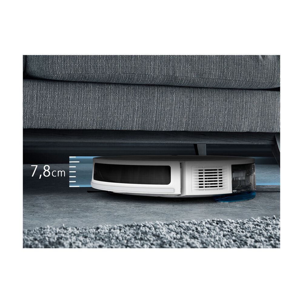 RR8477, image number 2