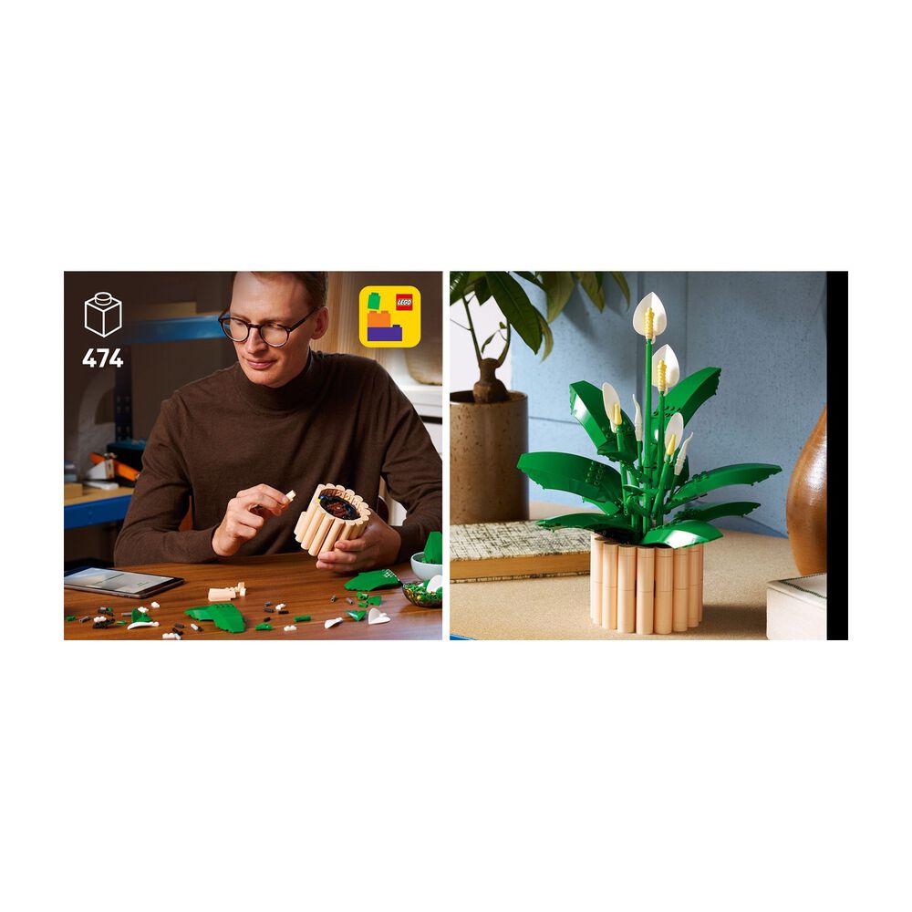 Spatifillo, image number 15