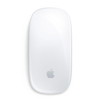 MAGIC MOUSE INT