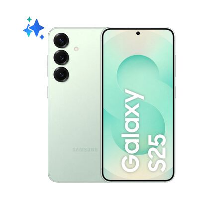 Galaxy S25 256GB