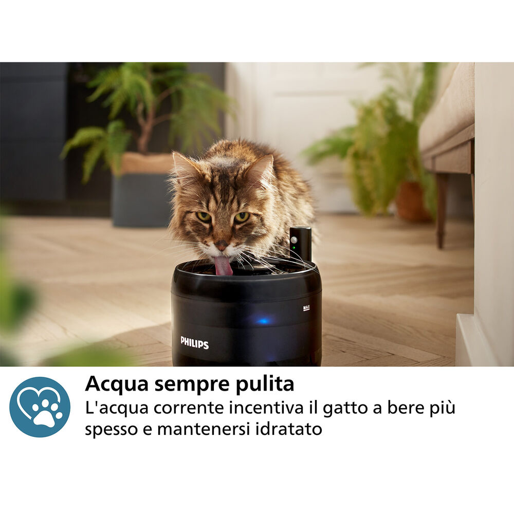 3x filtri ricambio fontanella d'acqua PAW0010/01, image number 3