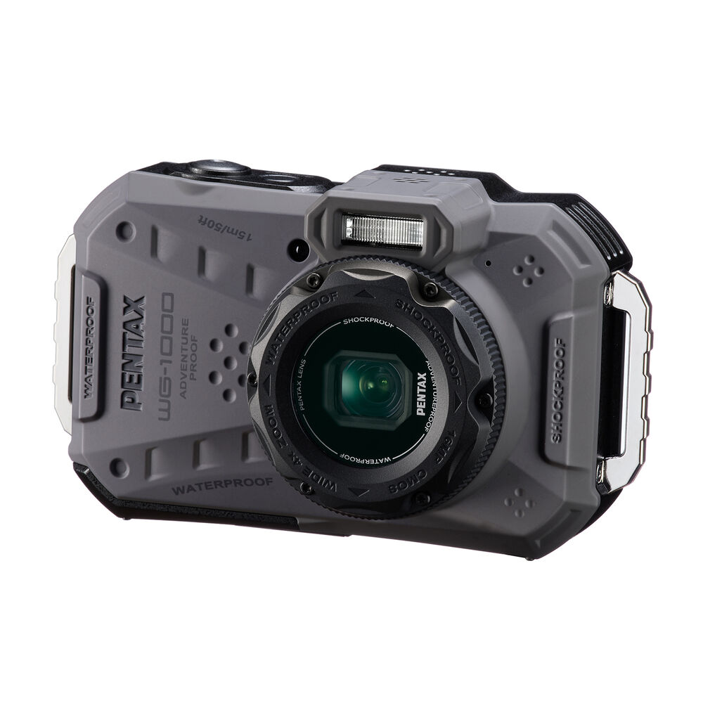 WG1000, image number 0