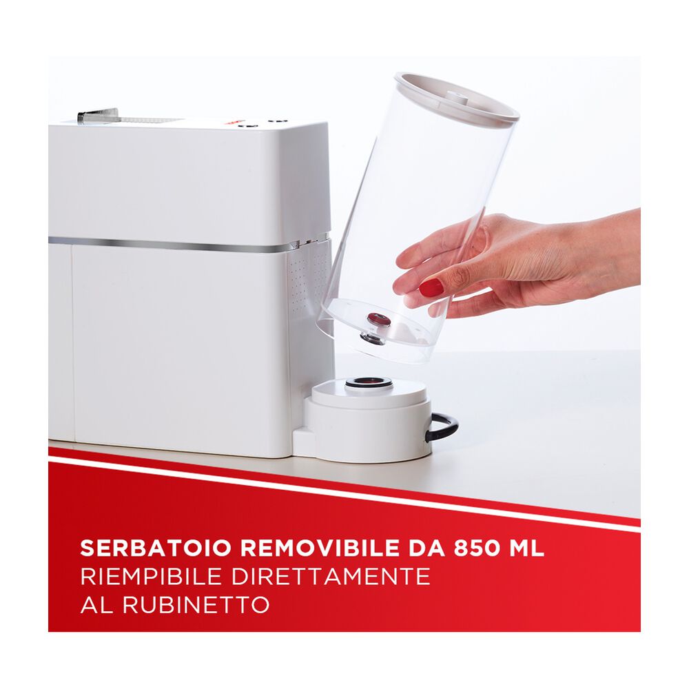 Coffea S18W, image number 5