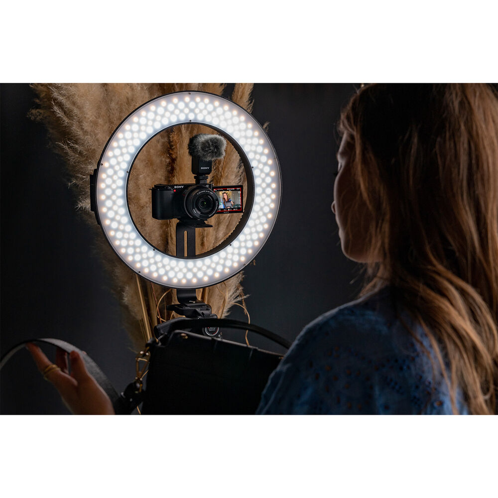 FOTOCAMERA MIRRORLESS SONY ZVE10LBDI, image number 10