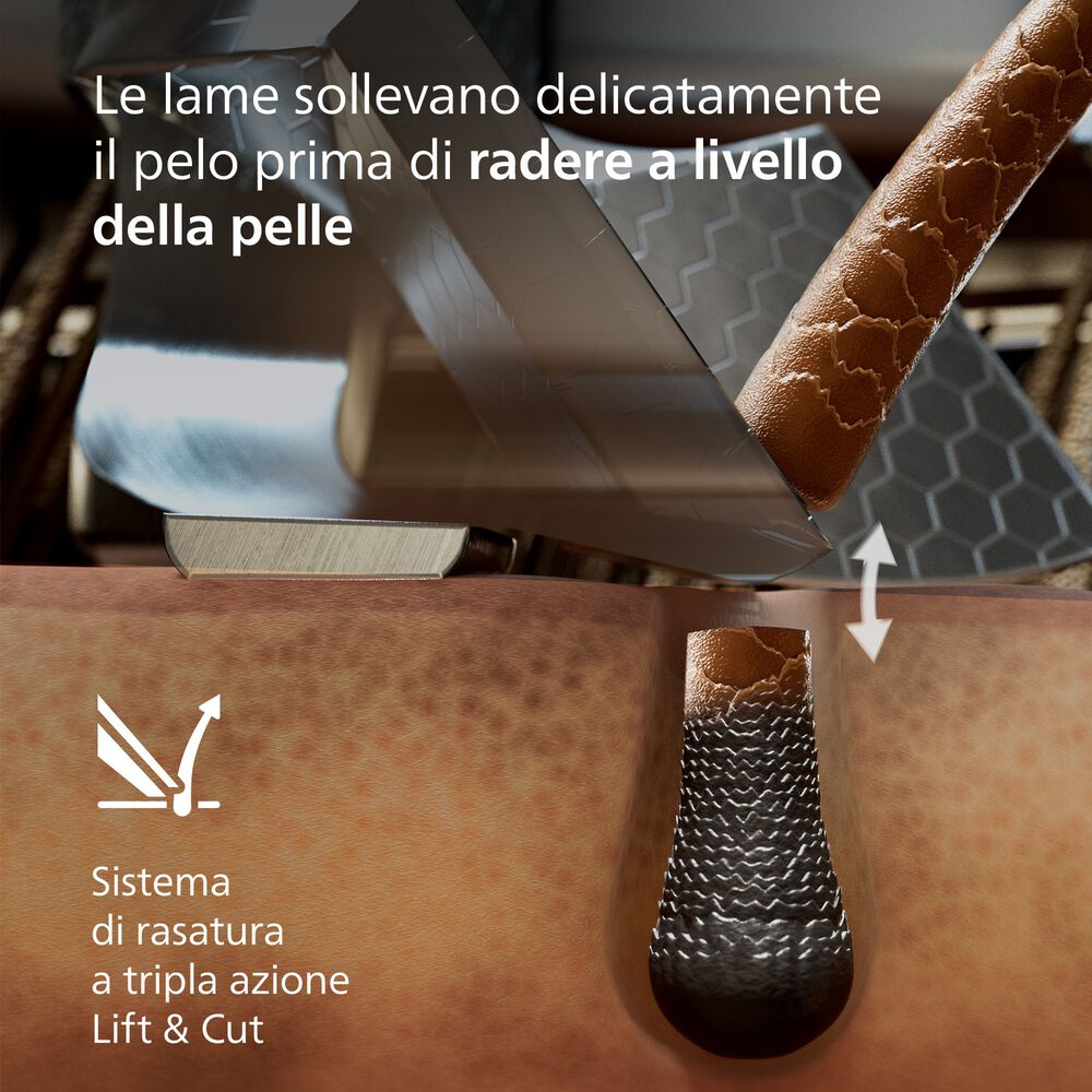 XP9403/31, image number 5