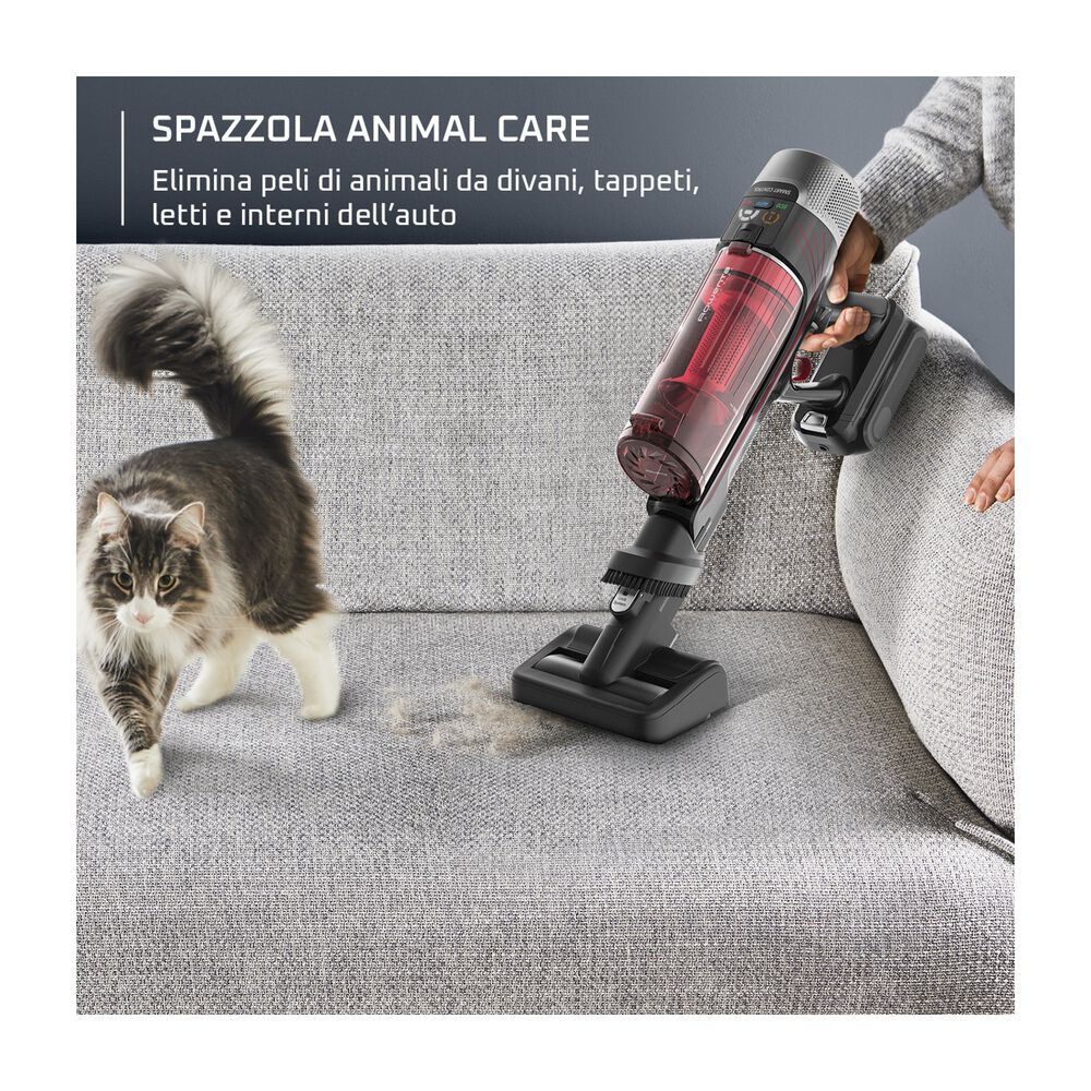 RH2087, image number 4