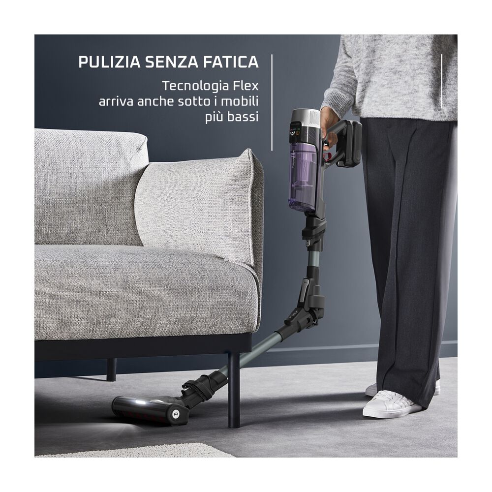 RH2037, image number 3