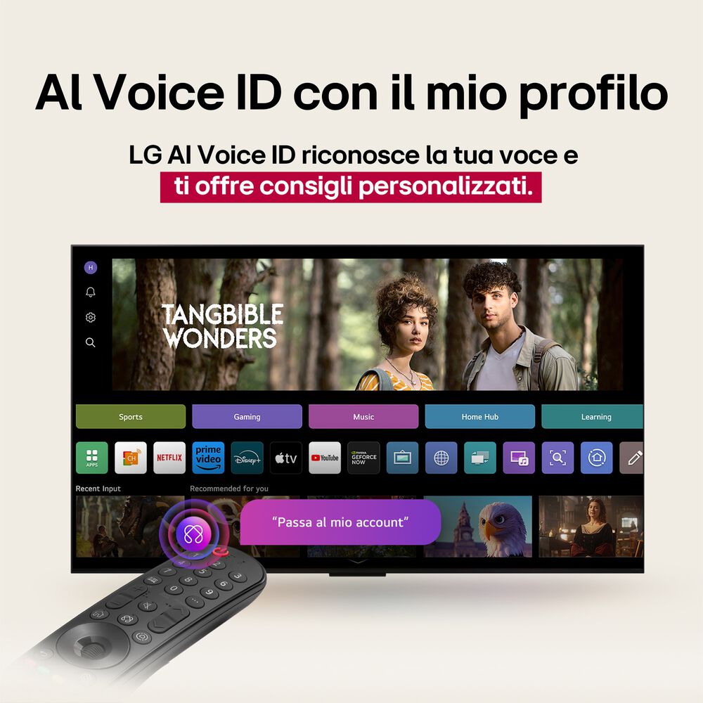 QNED AI 50QNED80A6A, Smart TV 50'', 4K, Dolby Digital, Full AI - PRMG GRADING OOBN - 10%, image number 21