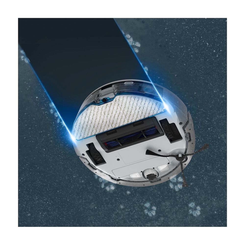 RR8477, image number 7