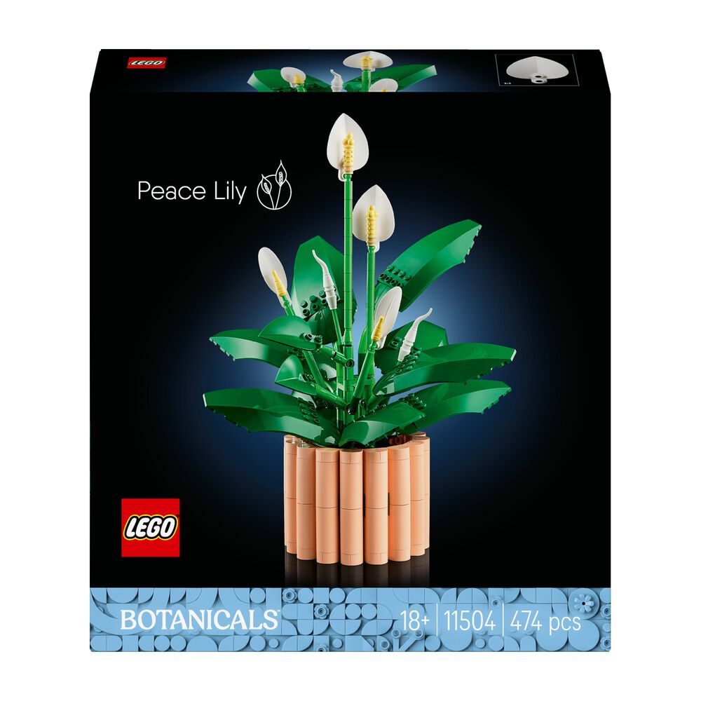 Spatifillo, image number 1