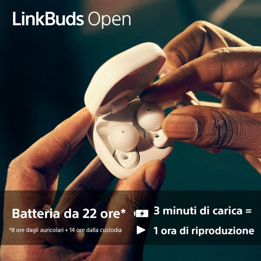 LINKBUDS OPEN WFL910W, image number 10