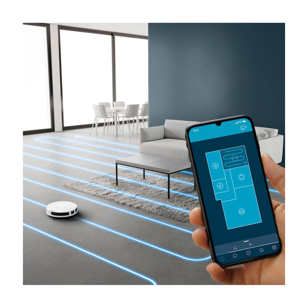 RR8477, image number 4