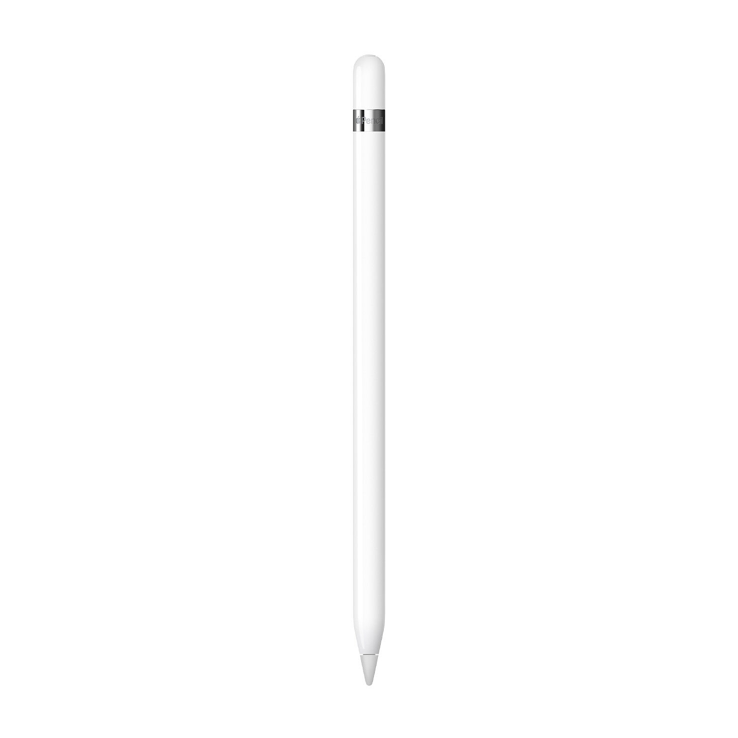 Apple iPad 本体 + Apple Pencil APPLE PENCIL APPLE PENCIL Ricondizionato | MediaWorld -15% sconto
