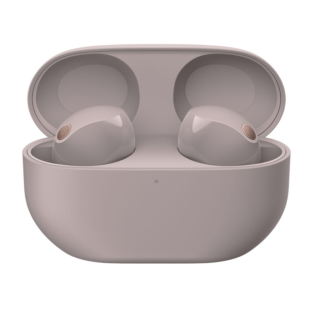 WF1000XM5P, image number 4